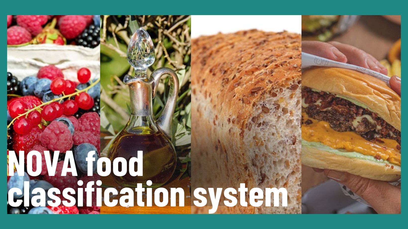 nova-food-classification-simplified-33fuel